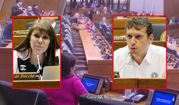 Tenso cruce en la sesión de la cámara de diputados - C9N