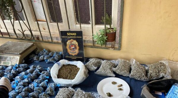 Desbaratan negocio de microtráfico en Caacupé, donde se comercializaba marihuana tipo "Creepy"