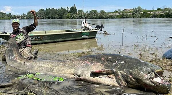 La historia que todo pescador quiere contar: el hallazgo de un pez prehistórico gigante