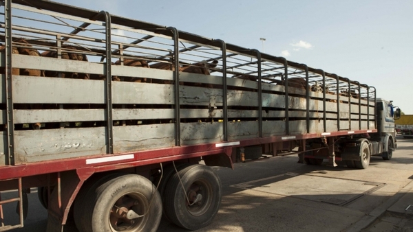 Argentina lanza plan de verificación de transportes para mejorar trazabilidad en la ganadería