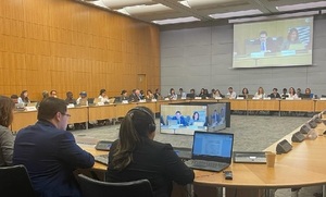 Viceministro Orué participa en reunión del Foro Global de la OCDE