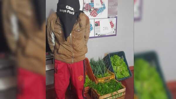 Detienen a supuesto ladrón de verduras en Barrio Arroyo Porã