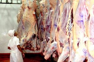 Crece demanda de carne paraguaya