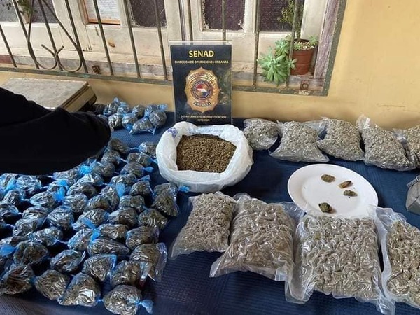 SENAD ANULÓ "MINI-MERCADO" DE DROGAS - La Voz del Norte