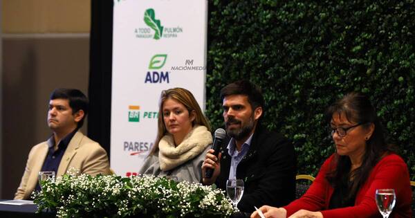 La Nación / Arranca Colosos de la Tierra con campaña que busca proteger los bosques y sus árboles ancestrales