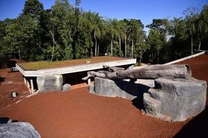 Avanzan las obras para exhibición de la fauna del Bosque Atlántico del Alto Paraná - ABC en el Este - ABC Color