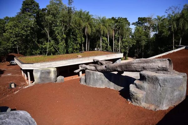 Avanzan las obras para exhibición de la fauna del Bosque Atlántico del Alto Paraná - ABC en el Este - ABC Color