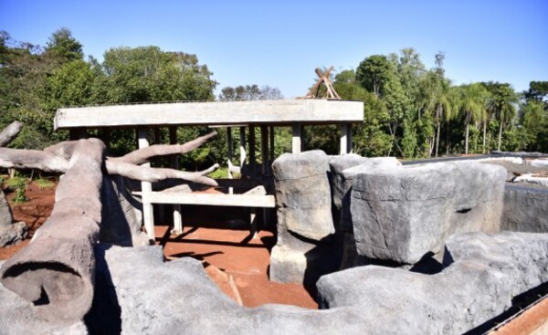 Avanzan obras de la nueva Zona de Exhibición de Fauna