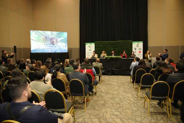 Diario HOY | Colosos de la Tierra: inicia la campaña de protección de bosques y árboles ancestrales