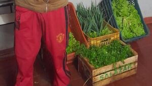 “Peló” huerta ajena: hombre cayó con lechugas y cebollitas robadas