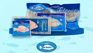 Ocho Fuentes fortalece la piscicultura nacional con la cría de tilapia (produce 2.000 kg de filetes por semana)