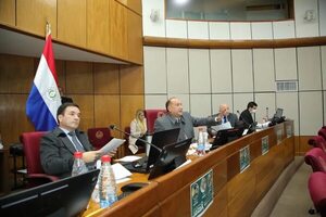 Senado ignora a 12 municipios y solo aprueba depurar padrón de San Alfredo - Política - ABC Color