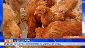 Influenza Aviar: Ejecutivo decreta emergencia nacional sanitaria