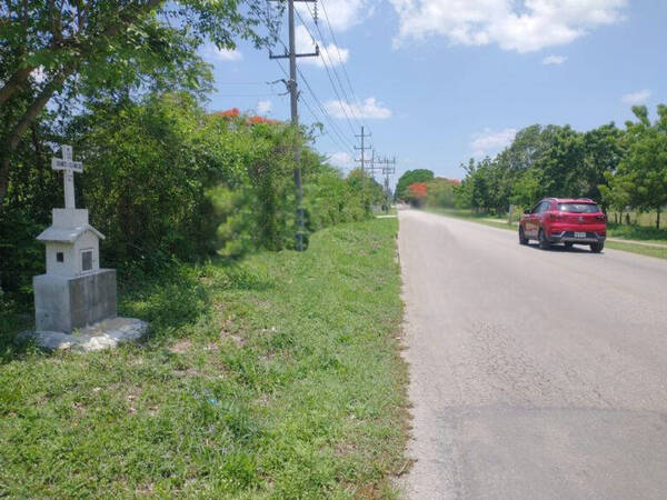 Alma en pena que recorre una ruta causa terror a conductores