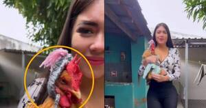 La Nación / ¡Hortensia, la diva del invierno!, Laurys presumió el outfit de su gallina