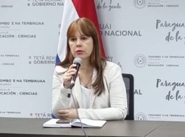 MEC respalda medidas de seguridad en colegios