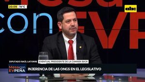Video: Injerencia de las ONGs en el Legislativo - Mesa de Periodistas - ABC Color