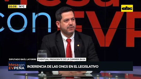 Video: Injerencia de las ONGs en el Legislativo - Mesa de Periodistas - ABC Color