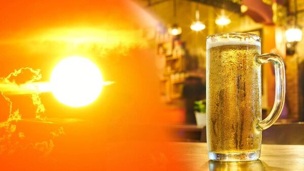 Hallan por qué beber poco alcohol mejoraría salud cardiaca