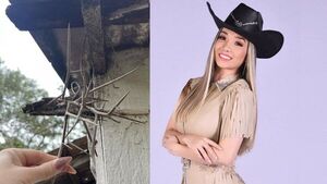 Marilina protegía su casa con una ramita de “corona de espinas”