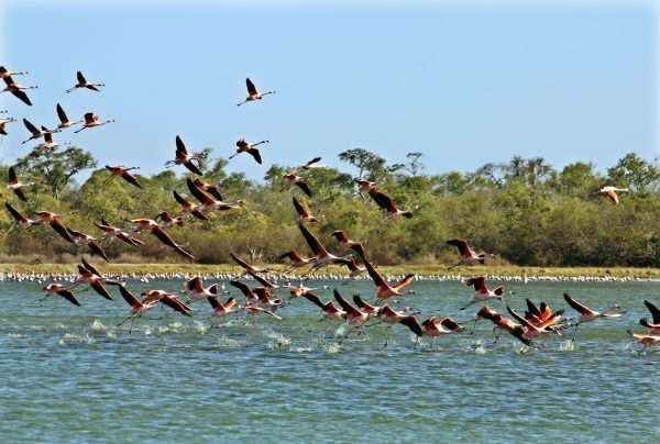 Circuito por Paraguay ofrece a turistas italianos un recorrido de 10 días cargado de cultura y naturaleza | Turismo | 5Días