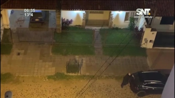 Reapareció el vecino "Rompeautos" - SNT
