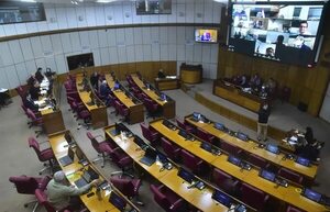 Cartistas y disidentes disputan  control  político  del Senado y cargos clave - Política - ABC Color