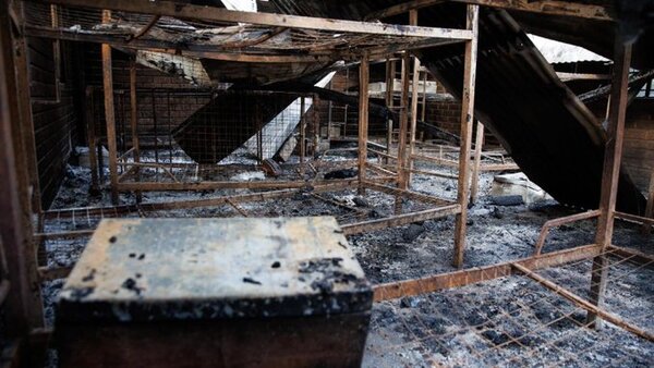 Al menos 43 muertos deja ataque terrorista en escuela de Uganda - ADN Digital