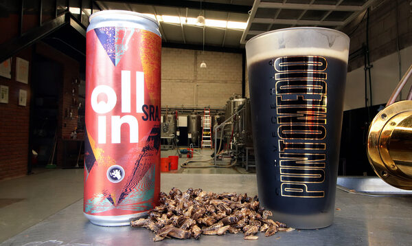 La Grilla, una cerveza mexicana a base de insectos - MarketData