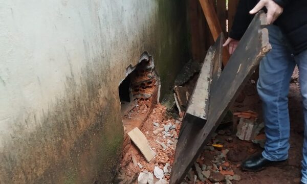 Hurtan agroquímicos de establecimiento