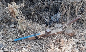 Quiso colocar una trampa iraqui y terminó matándolo - La Clave