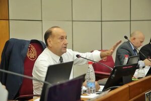 Cámara Alta tendrá tres sesiones esta semana - Política - ABC Color