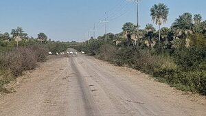 Cuatro puntos de calor en áreas protegidas del Chaco - Nacionales - ABC Color