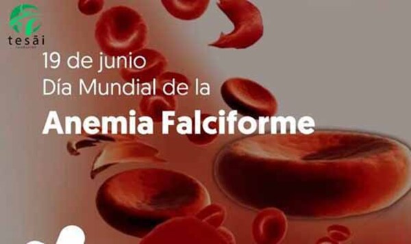 Fundación Tesãi conmemora el Día Mundial de la Anemia Falciforme | DIARIO PRIMERA PLANA