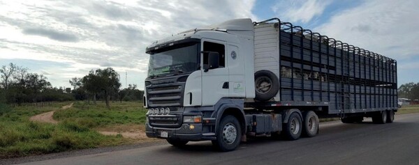 Disminución de la faena de ganados golpea a transportadoras