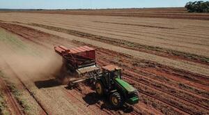 Paraguay se posiciona en el mercado internacional de granos oleaginosos