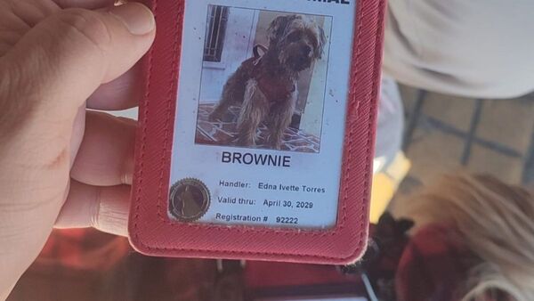 Prohibieron que perro guía suba al colectivo