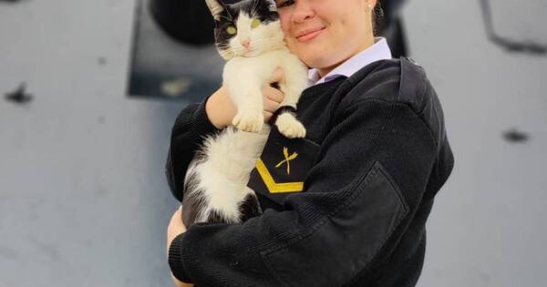 La Nación / ¡Conocé a Barlo, el tripulante felino del Cañonero Paraguay!