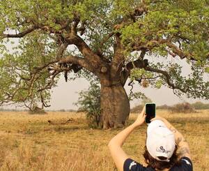 Lanzan concurso buscando la mejor fotografía de un árbol