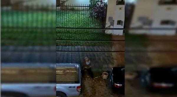 "Rompe faros" fue denunciado por su doña por argelado