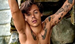 Harry Styles se deja ver sin camisa y muestra sus 60 tatuajes