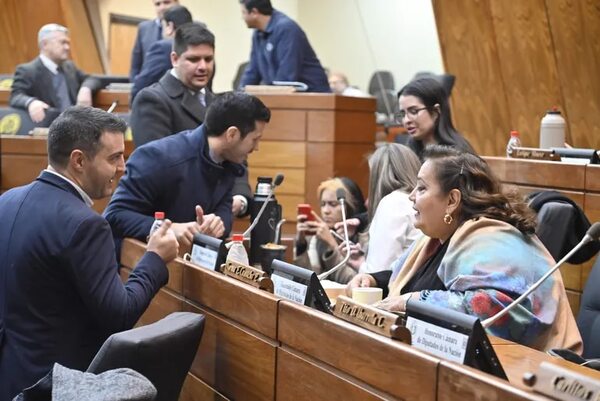 Apuran pedido para depuración de padrón - Política - ABC Color