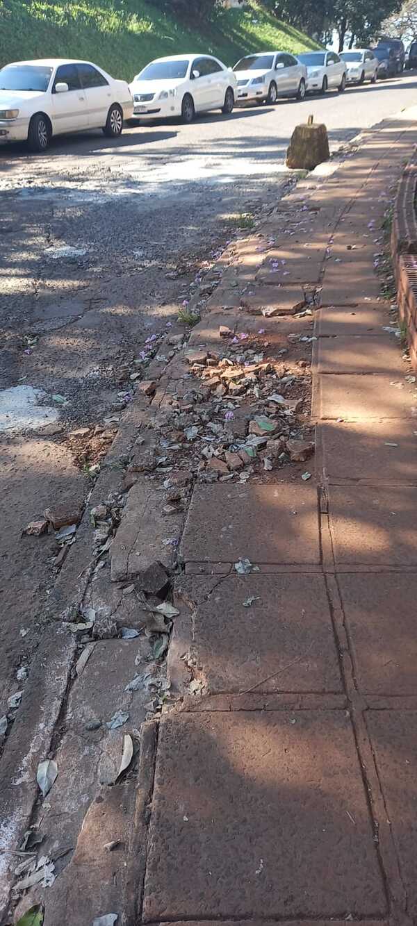 ZONA PRIMARIA DE CDE CON OLOR A PACO ZORRINO Y UNA DESPROLIJIDAD TOTAL Y ABANDONO !!! - La Voz del Norte