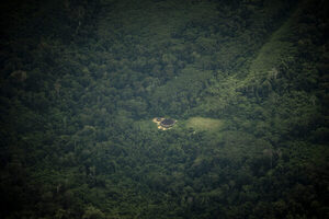 Brasil declara "libre de minería ilegal" la tierra indígena Yanomami - MarketData