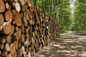 Paraguay avanza en la construcción del Plan Nacional de Restauración Forestal