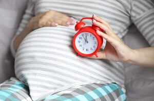 ¿Por qué un embarazo humano dura 9 meses, en ratones 20 días y en rinocerontes 17 meses? - Ciencia - ABC Color