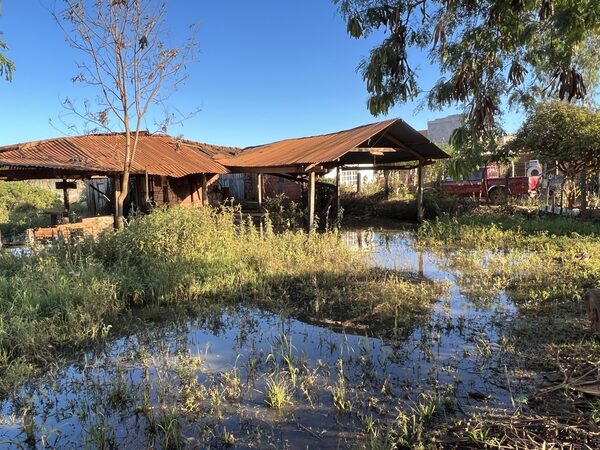 Quejas contra terreno abandonado de concejal municipal de Concepción