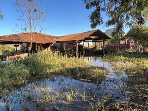 Vecinos preocupados por alimañas de un baldío
