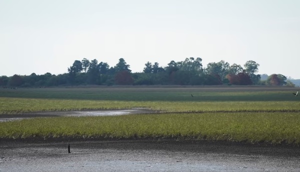 Diario HOY | Terrible crisis del agua en Uruguay: declaran "emergencia hídrica"