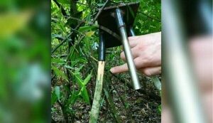 Agricultor murió luego de activar accidentalmente su propia trampa de caza - Radio Imperio